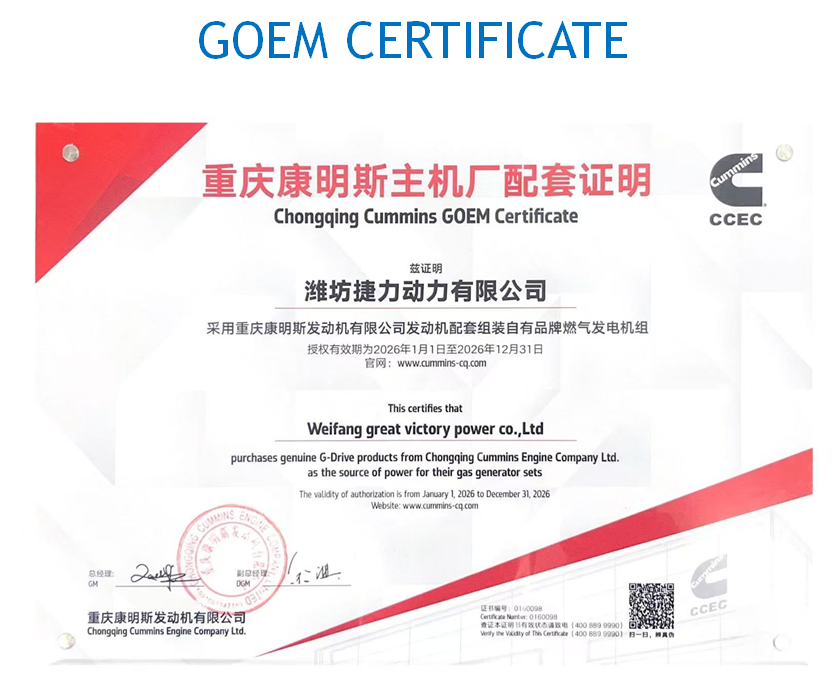 Cummins GOEM Authorisation